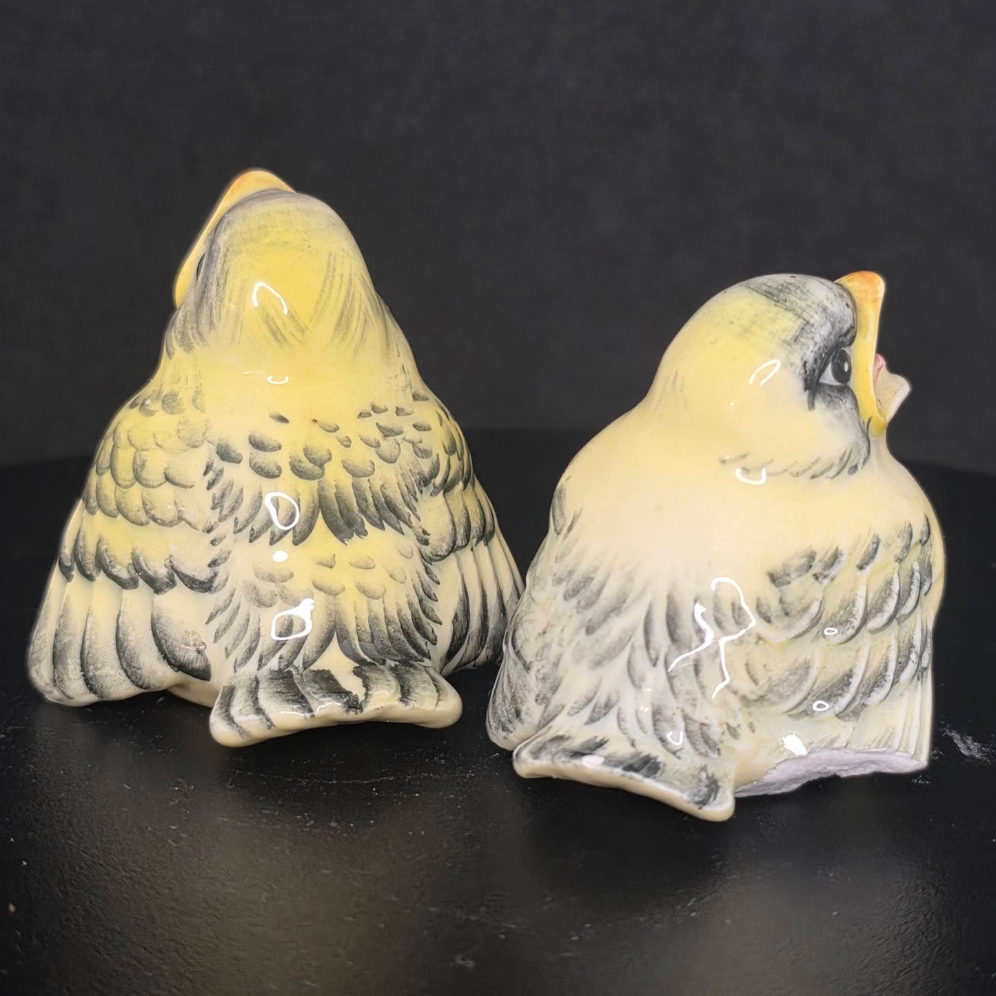 Back view of chickadee shakers showing condition issues