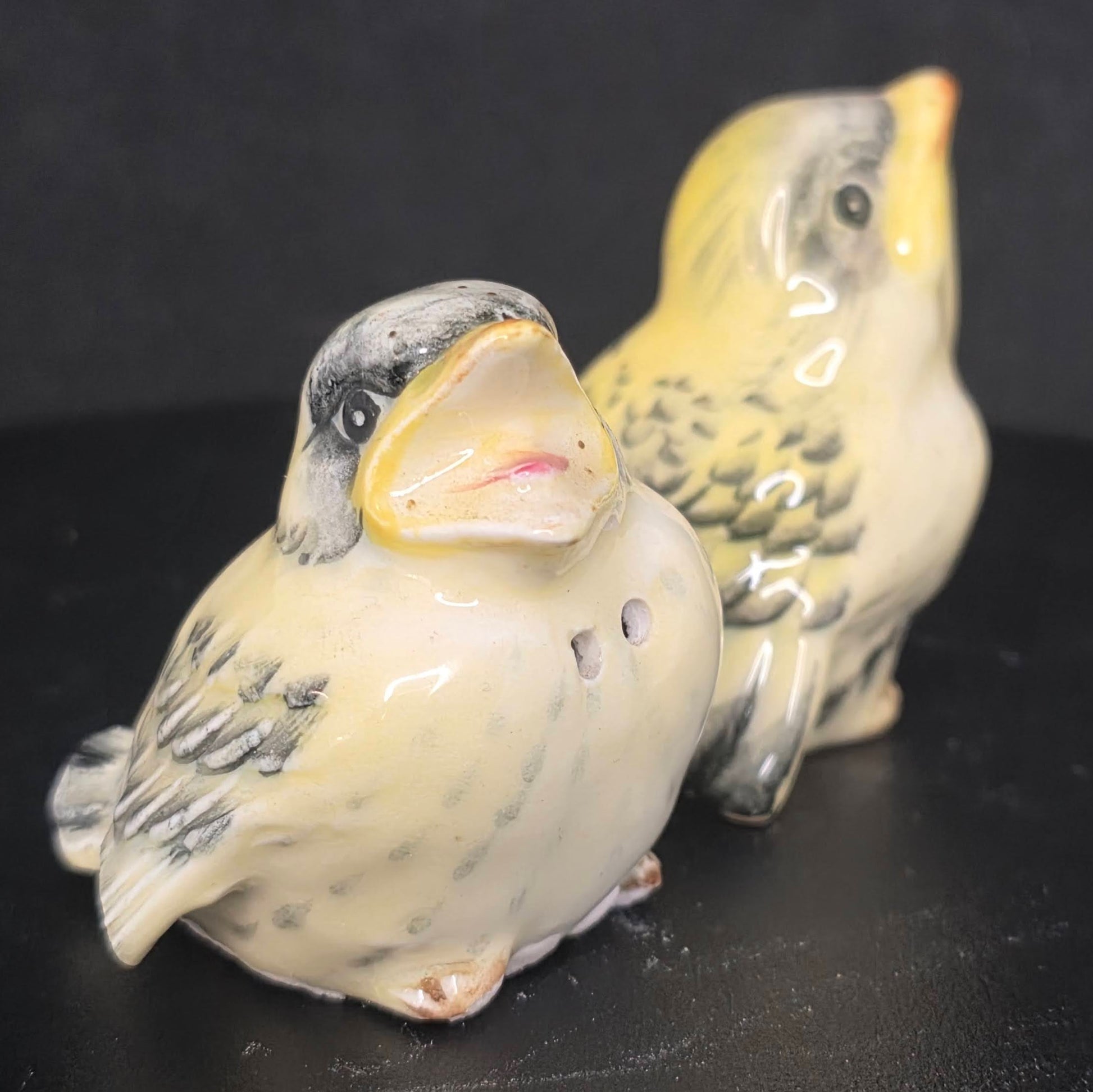 Side view of vintage chickadee shakers with damage detail